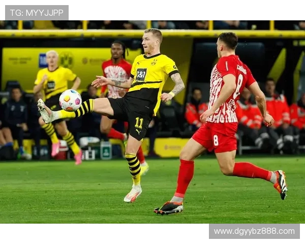 德甲各球队的球员数量与阵容深度分析