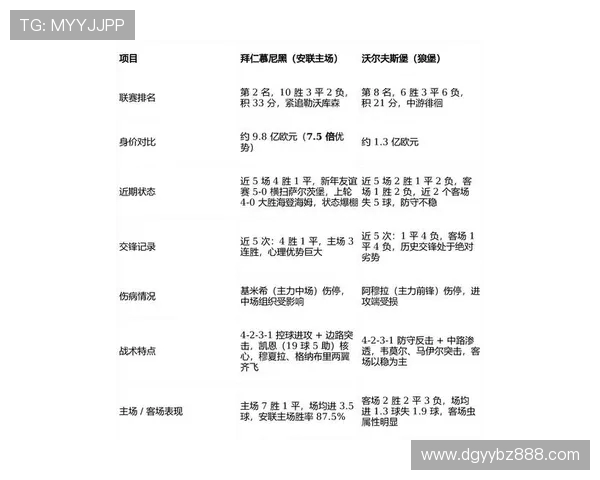 德甲最受欢迎球队排名及球迷基础介绍