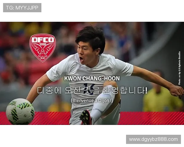 韩国在法甲的球员：韩国球员的法甲历程